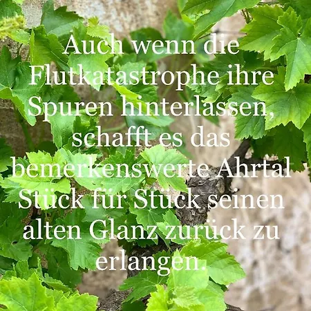 شقة Altstadtflair *